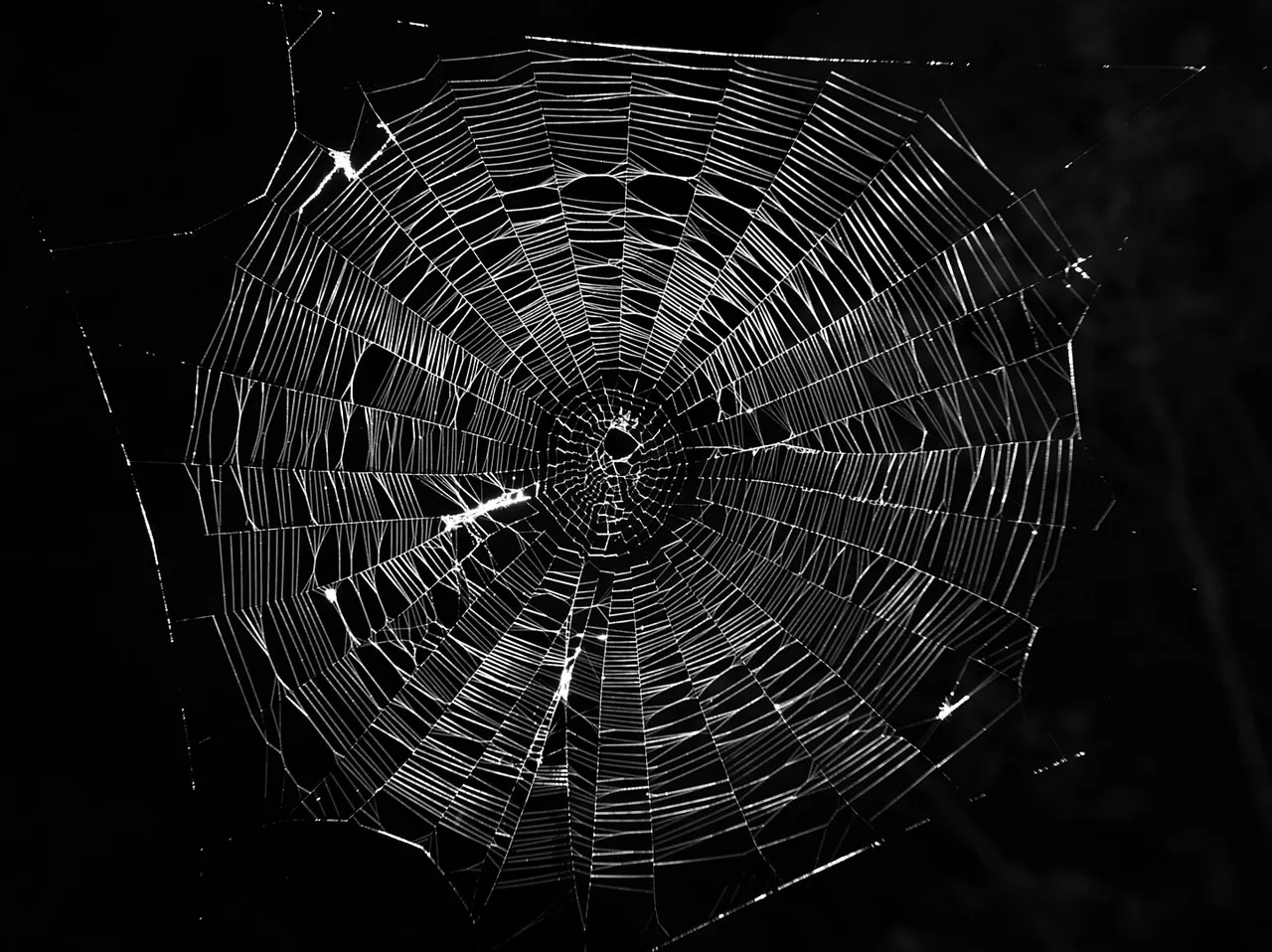 The Internet is a Series of Webs